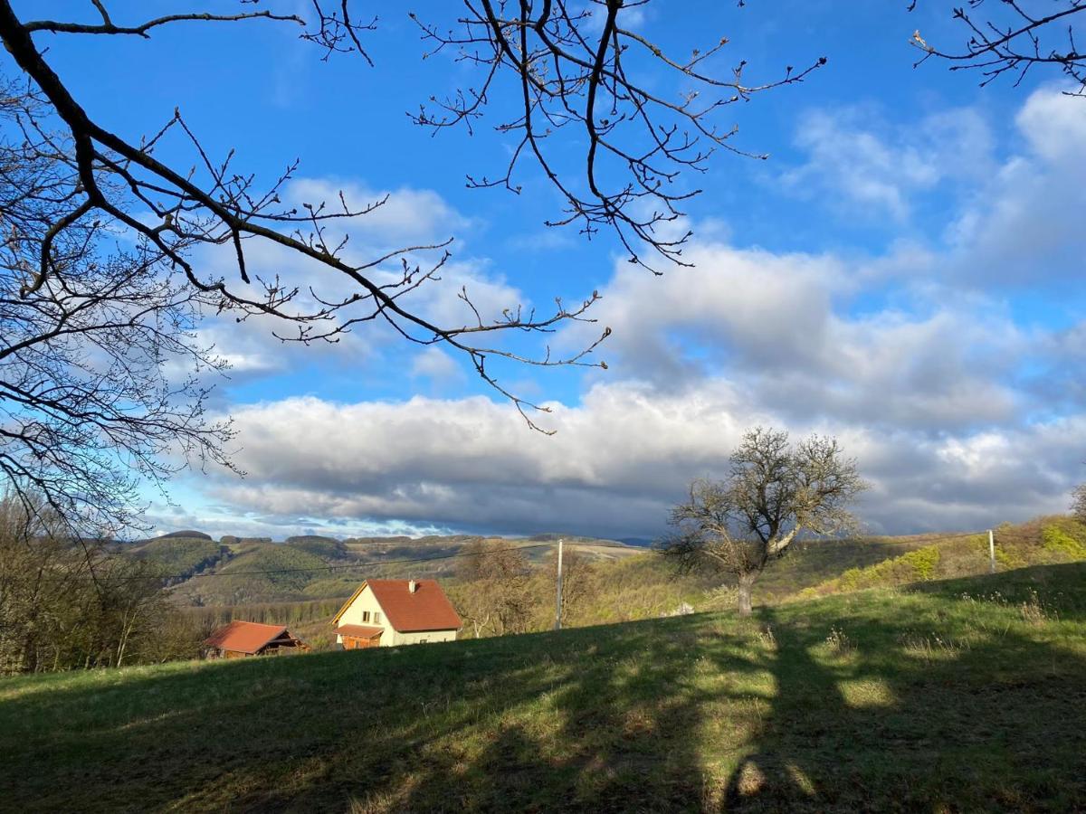 Nature * Trencin