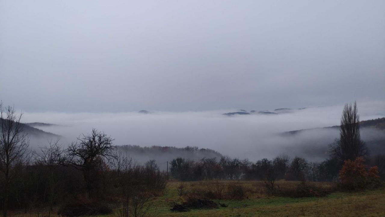 Nature * Trencin
